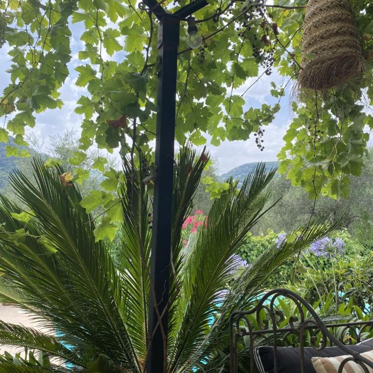 Bastide Aïna SPA et piscine - Suite Deluxe - 24