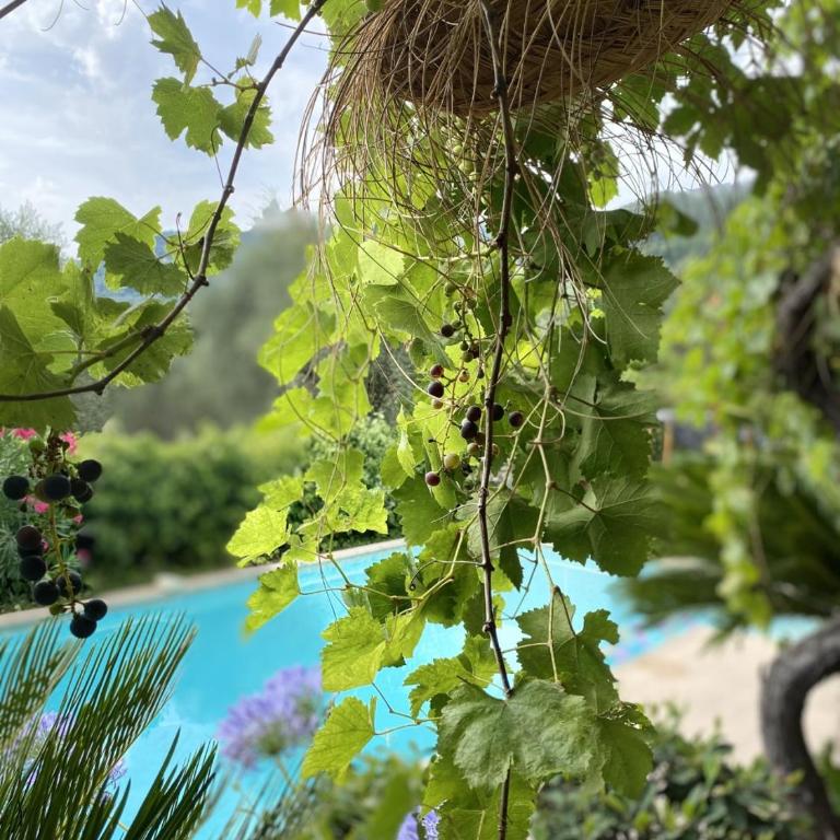 Bastide Aïna SPA et piscine - Suite Deluxe - 23