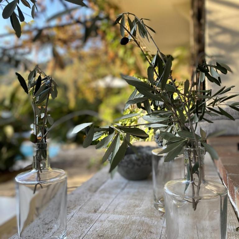 Bastide Aïna SPA et piscine - Suite Deluxe - 22