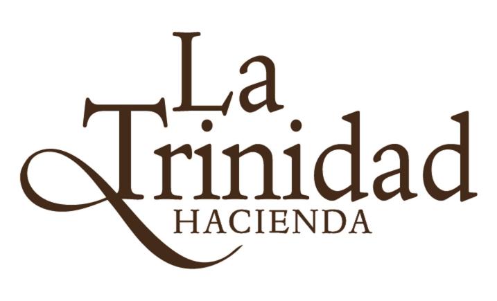 Hacienda La Trinidad - Villa - 15