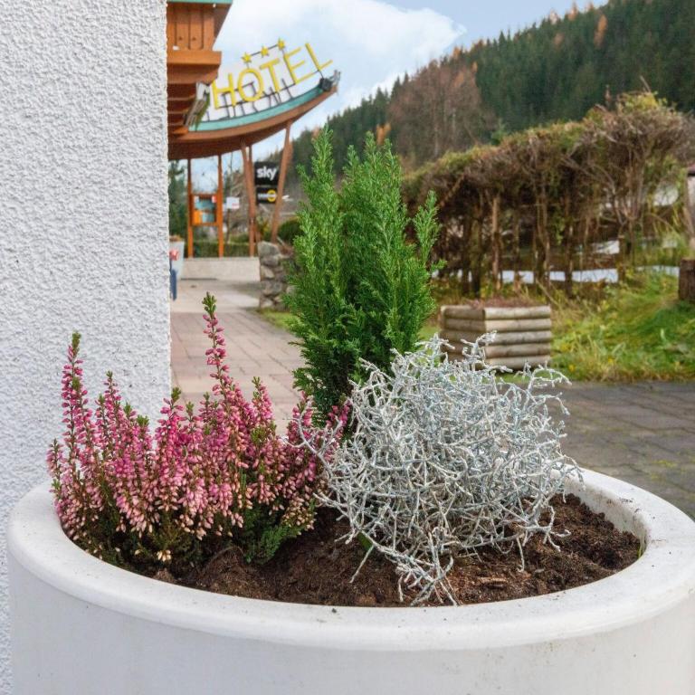 Apartment in Wald near Zillertal Ski Slopes - Appartamento con 1 Camera da Letto - 40