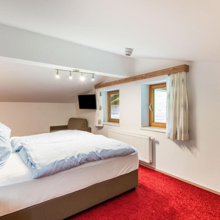 Apartment in Wald near Zillertal Ski Area - Appartamento con 1 Camera da Letto - 17