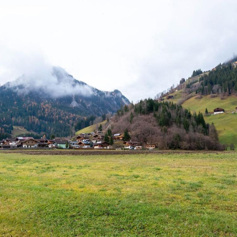 Apartment in Wald near Zillertal Ski Area - Appartamento con 1 Camera da Letto - 21