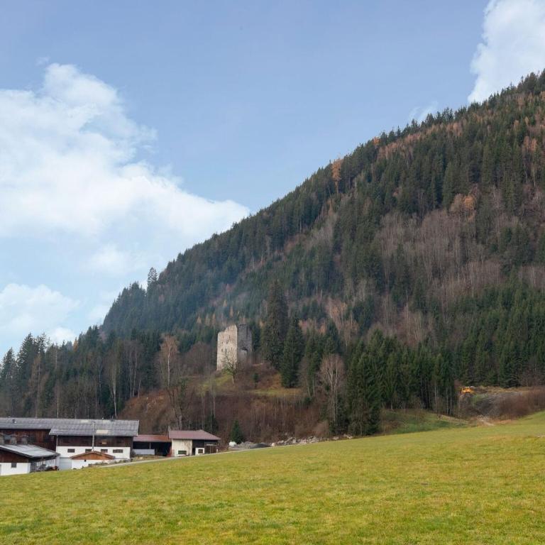 Apartment in Wald near Zillertal Ski Area - Appartamento con 1 Camera da Letto - 24