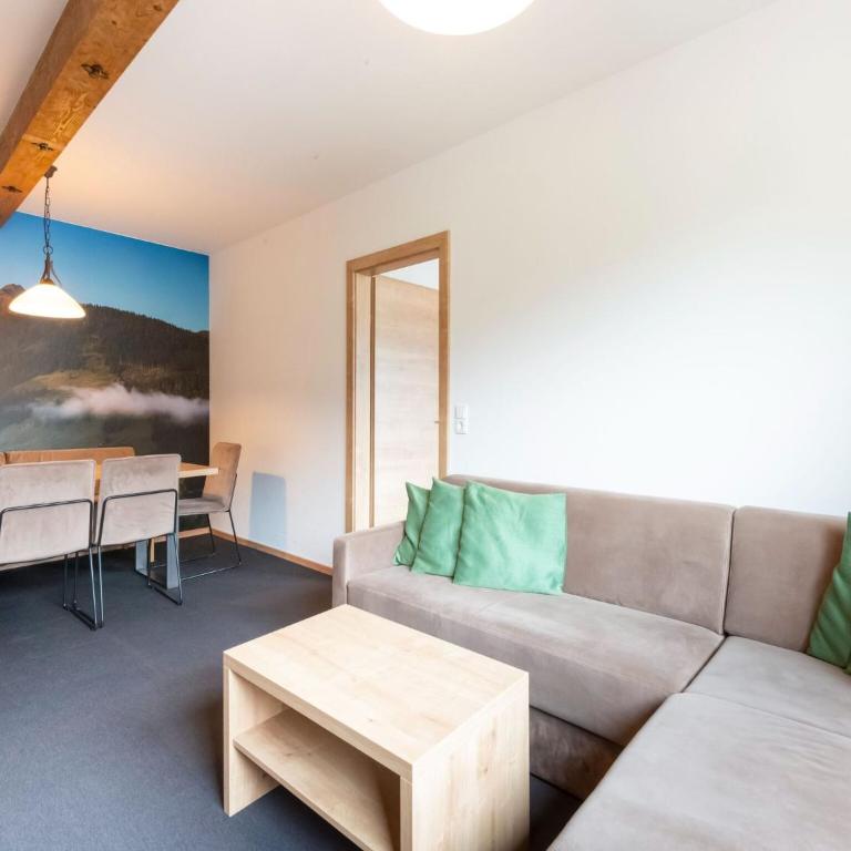 Apartment in Wald near Zillertal Arena - Appartement 2 Chambres - 12