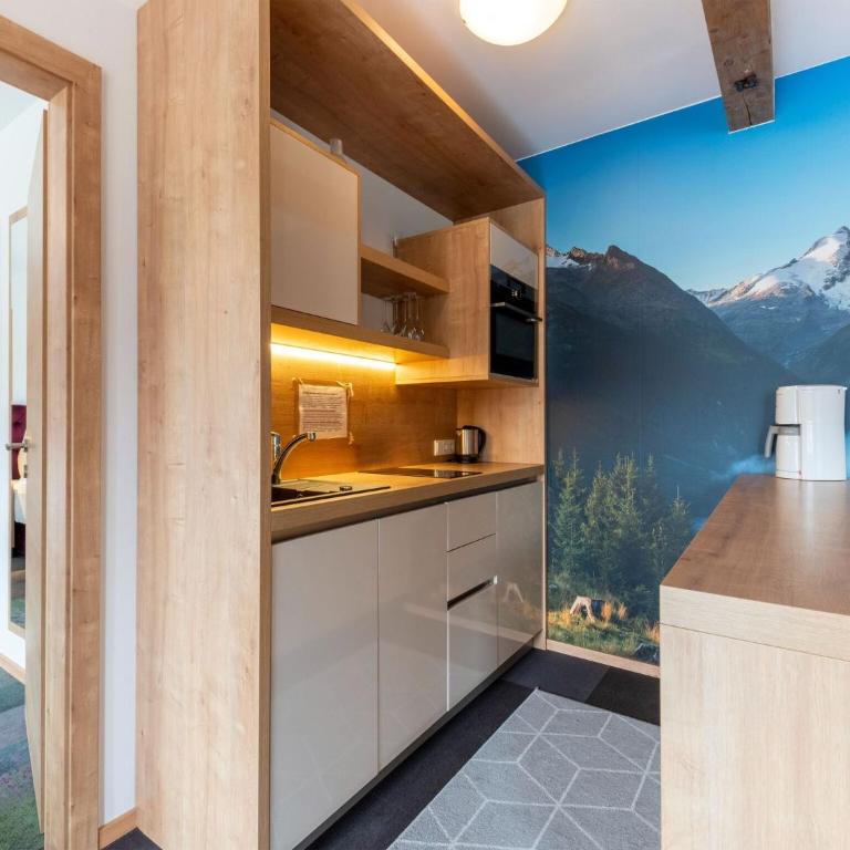 Apartment in Wald near Zillertal Arena - Appartement 2 Chambres - 16