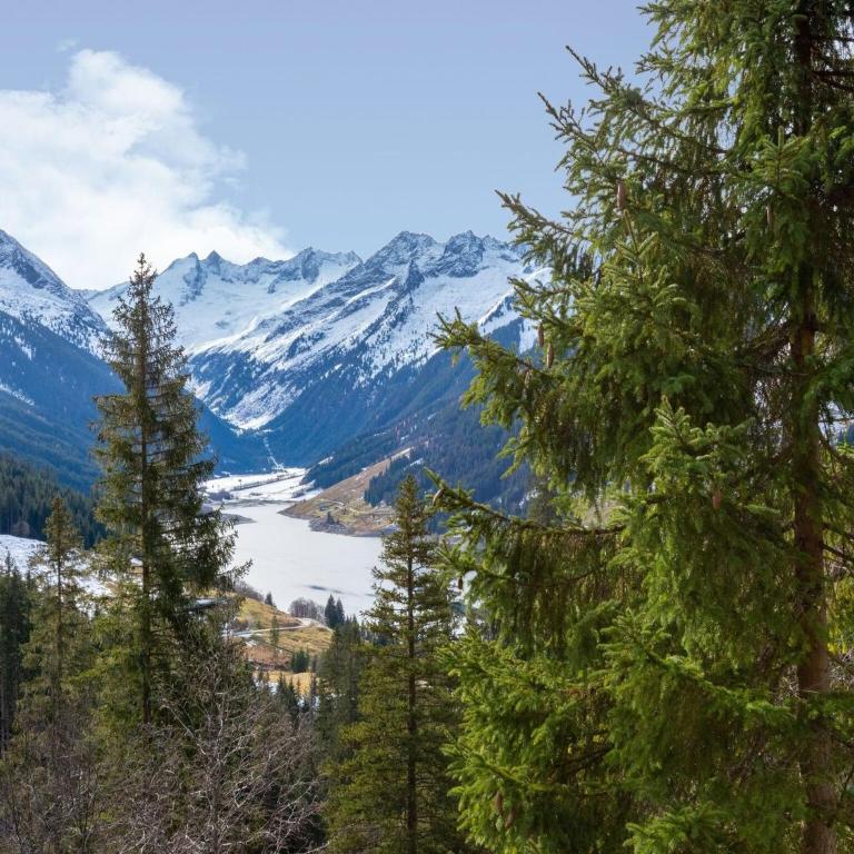 Apartment in Wald near Zillertal Arena - Appartement 2 Chambres - 33