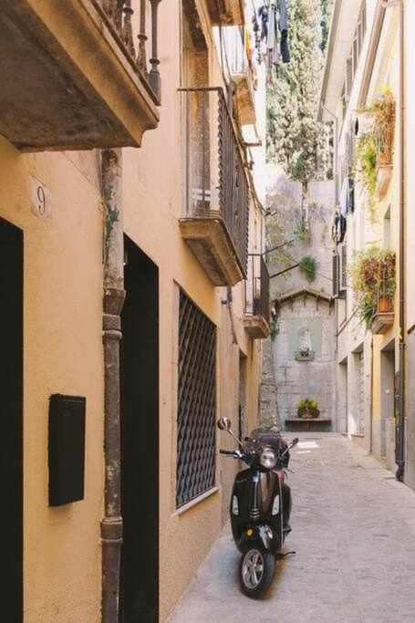 Velo Vern 1- Beautiful new apartment 2 bed ensuite - Apartamento de 2 dormitorios - 17