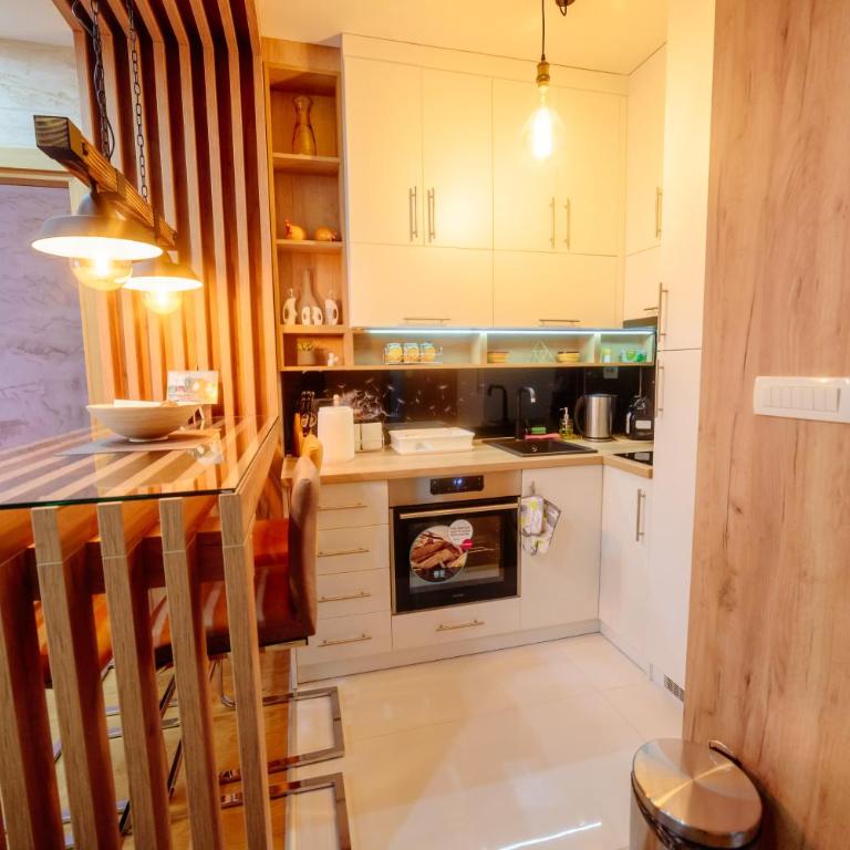 Balkan Hill Zlatibor - Apartman - 9