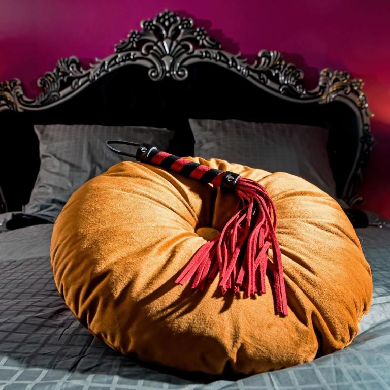 SUITE PLAYROOM Love Hotel Toulouse - Appartement 1 Chambre - 5