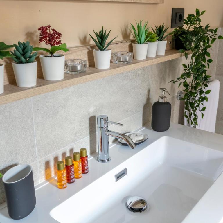 Parione Apartment - Appartamento Superior - 21