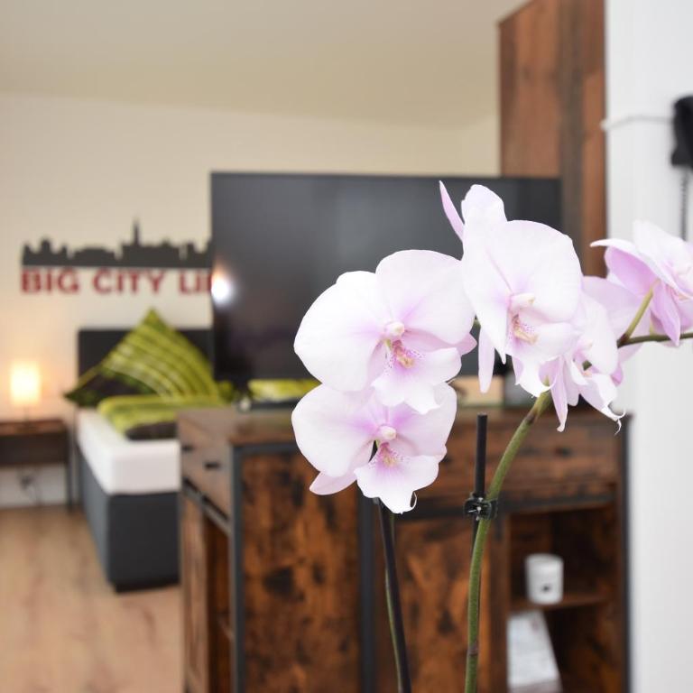 Boardinghouse Henschelstraße - Junior Suite - 26