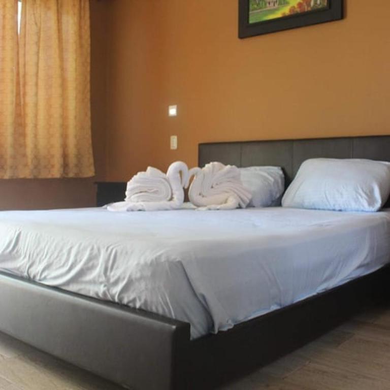 The Lookout Beach Hotel - Standard Double Room - 2
