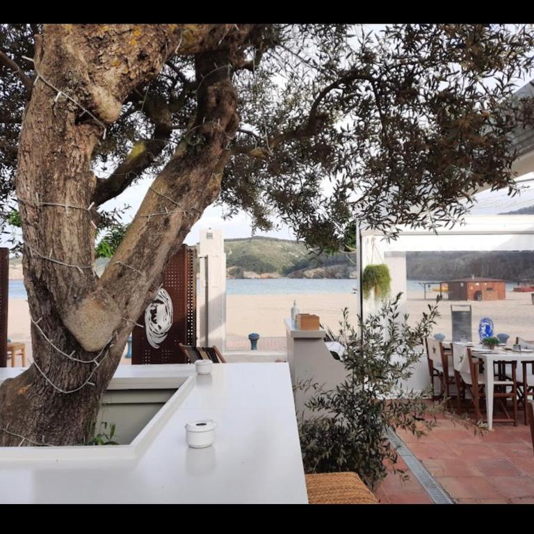 Résidence Cala Montgo - Apartamento de 3 dormitorios - 94