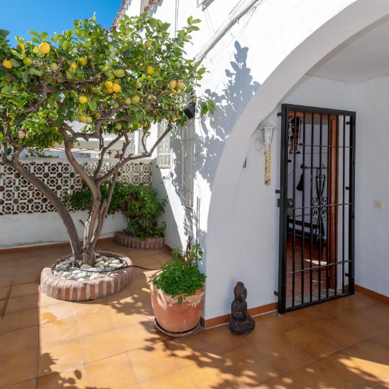 Casa Limon - Casa - 4