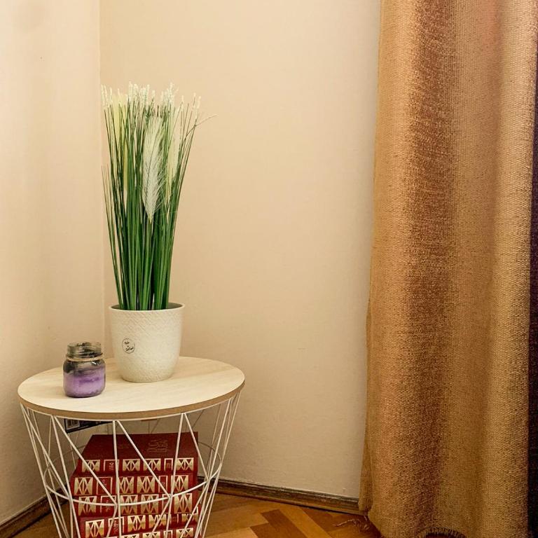 Cute, spacious apt in the heart of the old town - One-Bedroom Apartment - 12