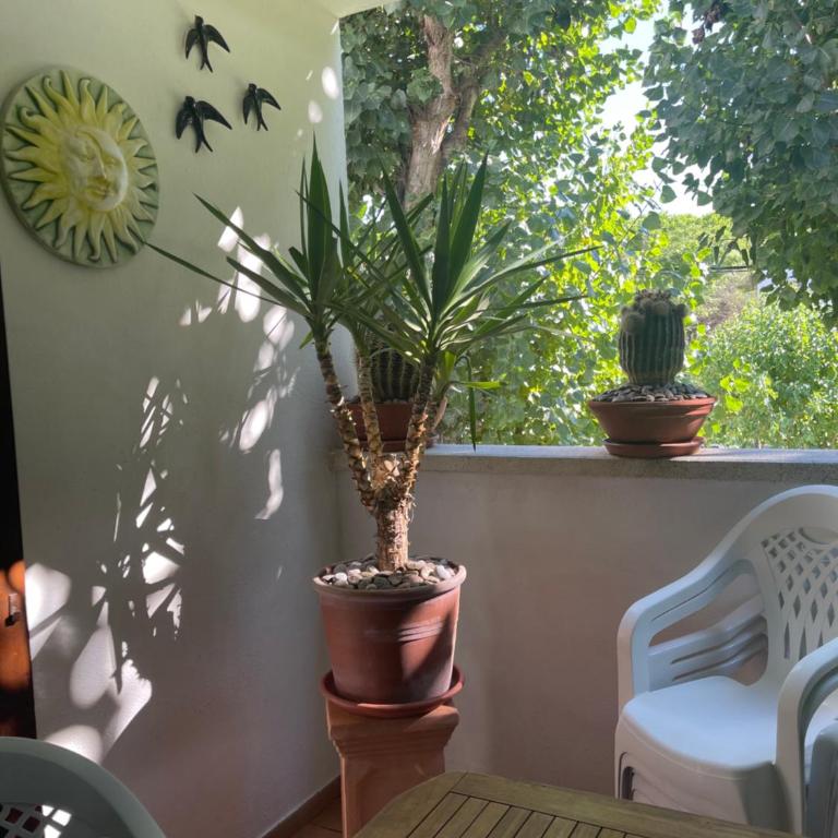 Résidence Cala Montgo - Apartamento de 3 dormitorios - 57