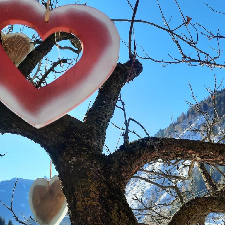 B&BeautyFol Dolomites B&B adults only - Camera Matrimoniale - 18