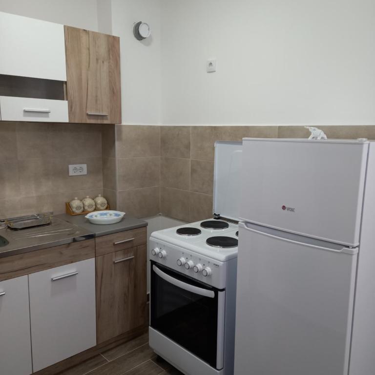 Apartman Vasilije Banja Koviljaca - Apartman sa 1 Spavaćom Sobom - 18