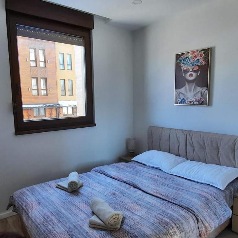 Apartman zlatibor - Apartman sa 1 Spavaćom Sobom - 9