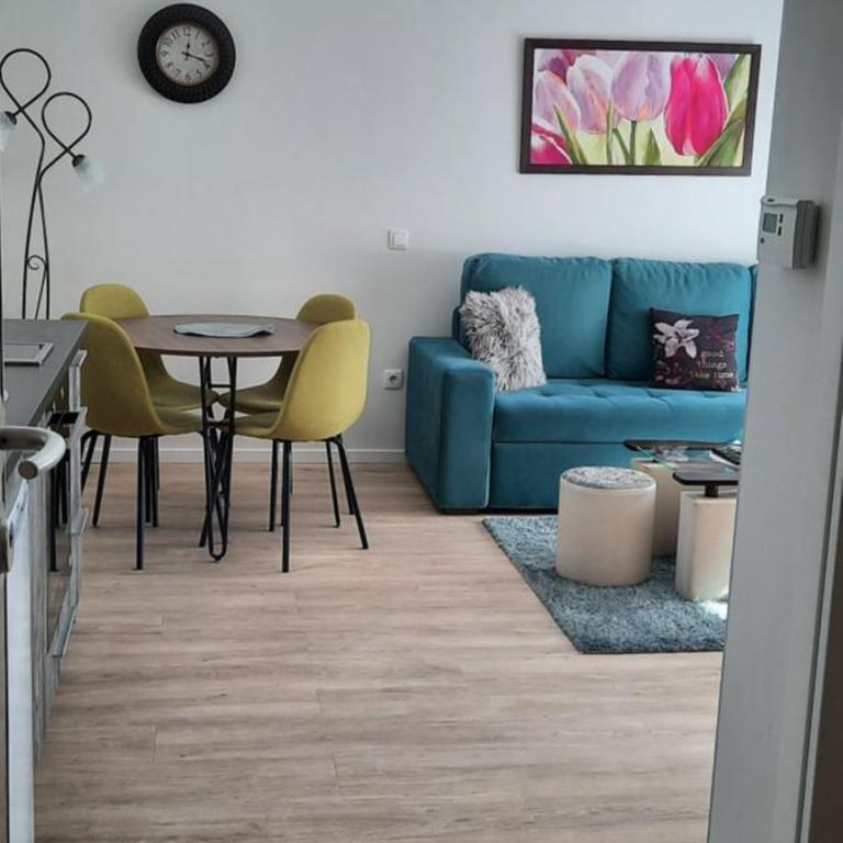 Apartman zlatibor - Apartman sa 1 Spavaćom Sobom - 3