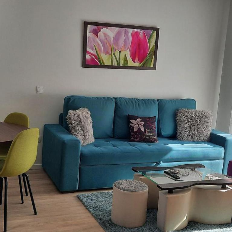 Apartman zlatibor - Apartman sa 1 Spavaćom Sobom - 6