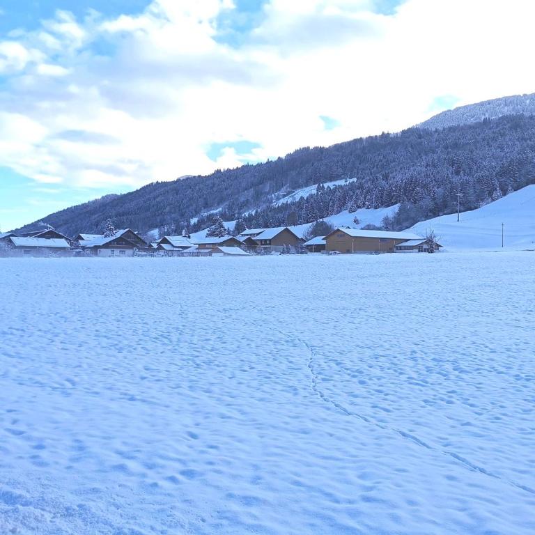 Konstanzer Bergblick mit Wintergarten - Apartment mit 2 Schlafzimmern - 33