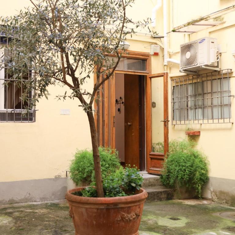 Firenze Rentals Suite Cavour - Appartamento - Piano Terra - 41