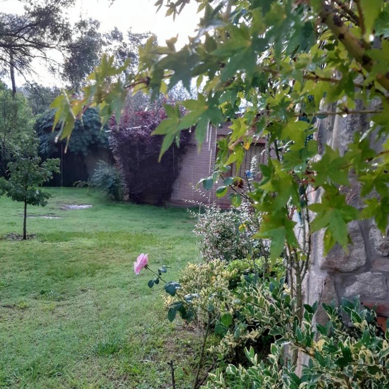 Cabañas Farah Estancia Vieja ideal para 2 a 3 huéspedes - Casa con 1 dormitorio - 11
