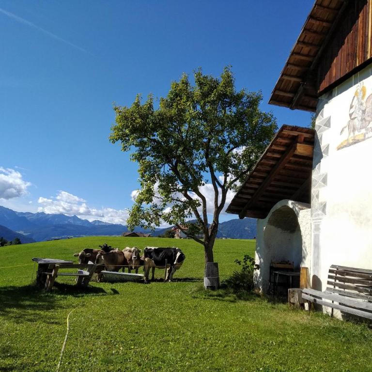 Huberhof Morgensonne - Appartamento con 1 Camera da Letto - 10