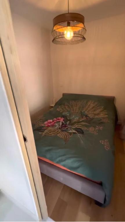 Superbe appartement entre lac et montagne. - Appartement 1 Chambre - 7