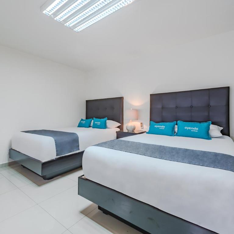 Suites Ejecutivas Monterrey - Superior Quadruple Room - 2