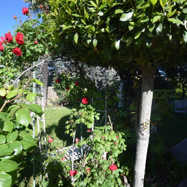 VILLA LE FATE dimora di Charme con piscina - Casa con 3 Camere da Letto - 22