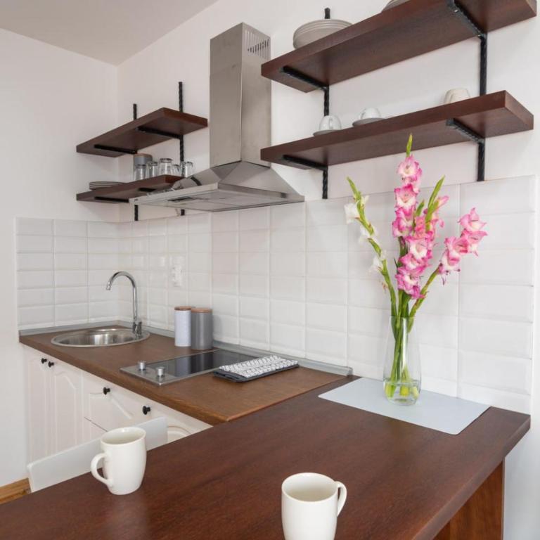 Visnja Aparmtani - One-Bedroom Apartment - 6