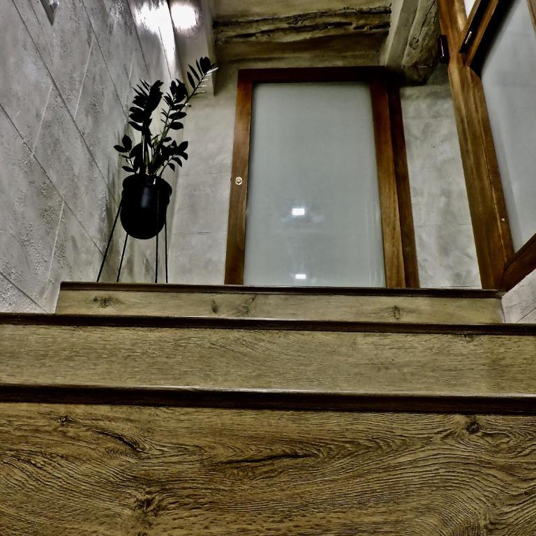 Collegio Suite - Appartamento con 1 Camera da Letto - 14