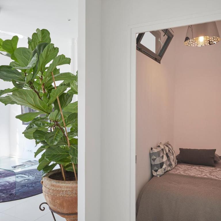 Beautiful Art Lovers Apartment - Appartement - 18