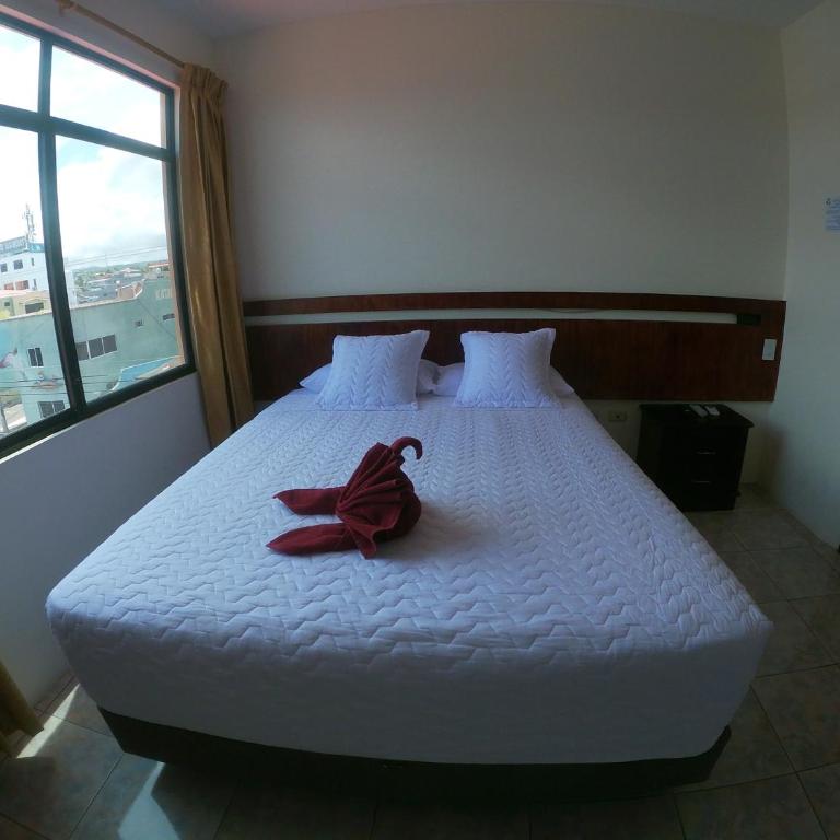 Grand paraiso insular 2 - Habitación Individual - 6