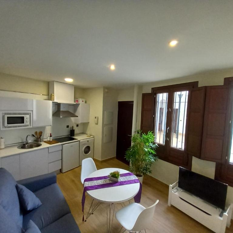 Coqueto apartamento céntrico - One-Bedroom Apartment - 3