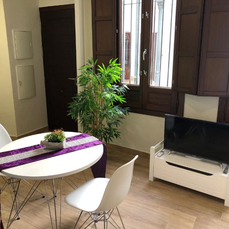 Coqueto apartamento céntrico - One-Bedroom Apartment - 4