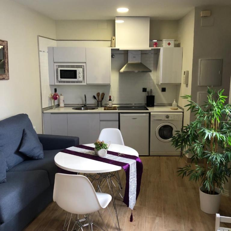 Coqueto apartamento céntrico - One-Bedroom Apartment - 10