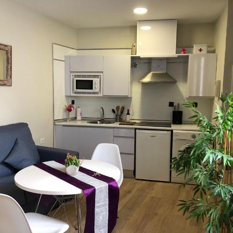 Coqueto apartamento céntrico - One-Bedroom Apartment - 8