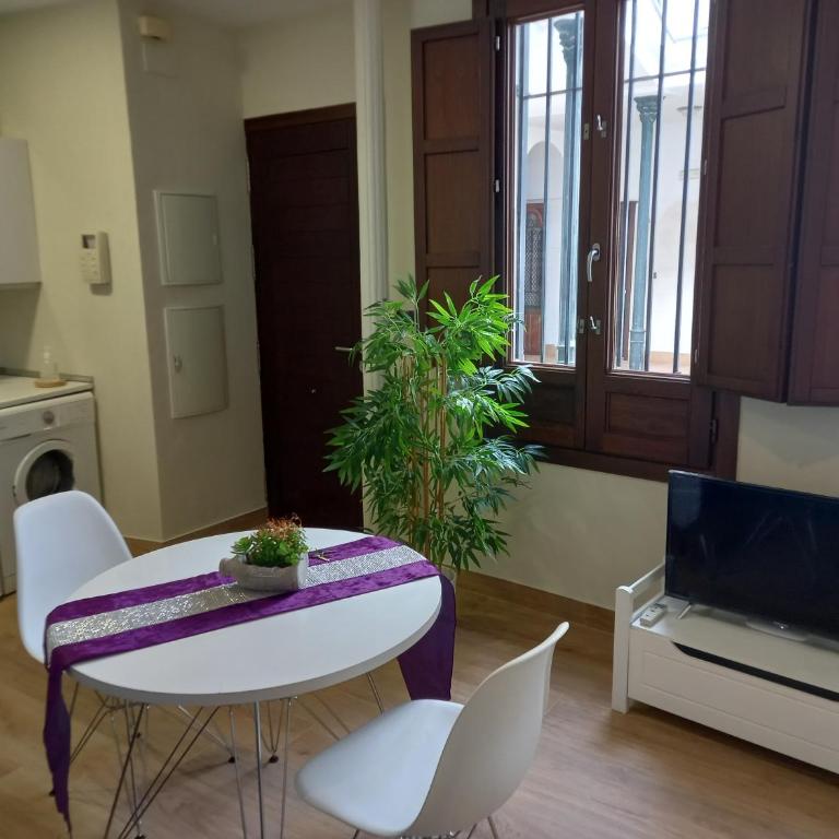 Coqueto apartamento céntrico - One-Bedroom Apartment - 12