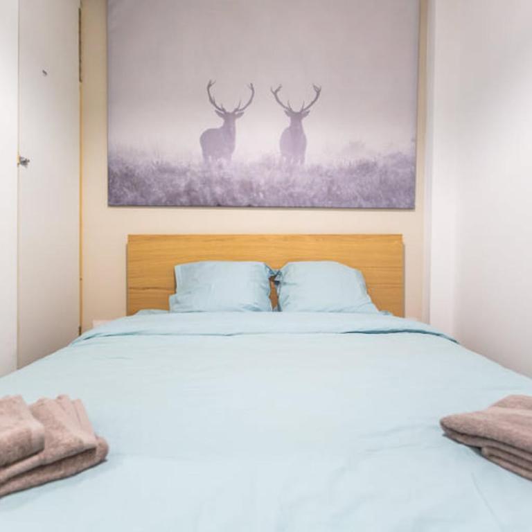 Bel appartement Type T3 climatisé - Appartement 2 Chambres - 5