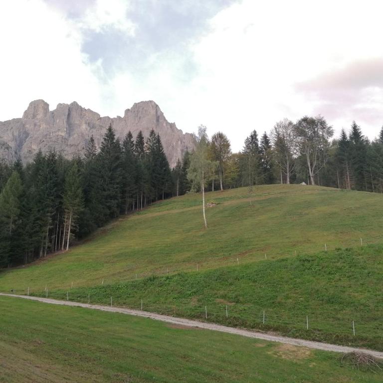 Baita Pra Petina Pale di San Martino - Chalet con 2 Camere da Letto - 42