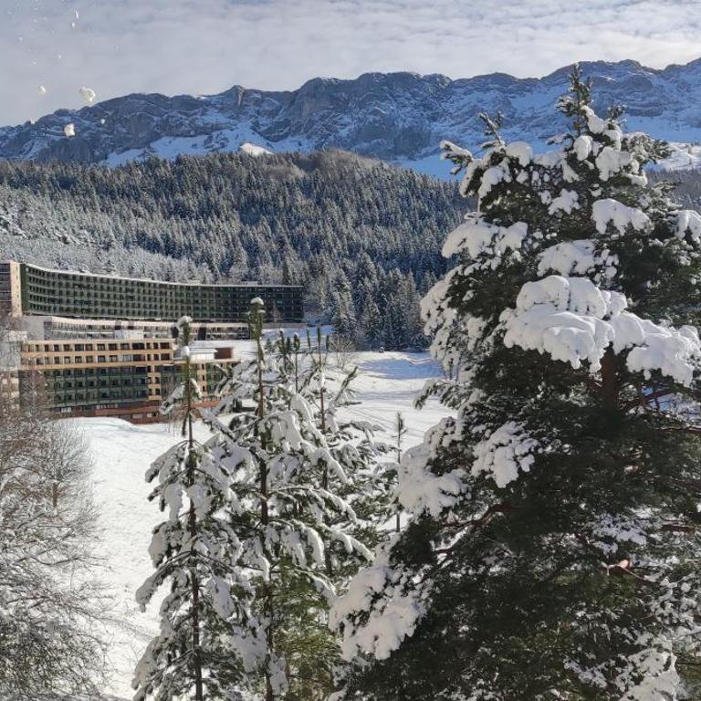 Studio sur les pistes - Apartment mit 1 Schlafzimmer - 3