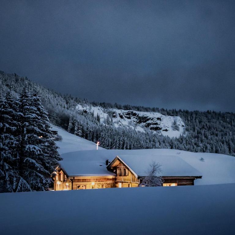 Le Moulin des Scies Neuves - Superior Chalet - 1