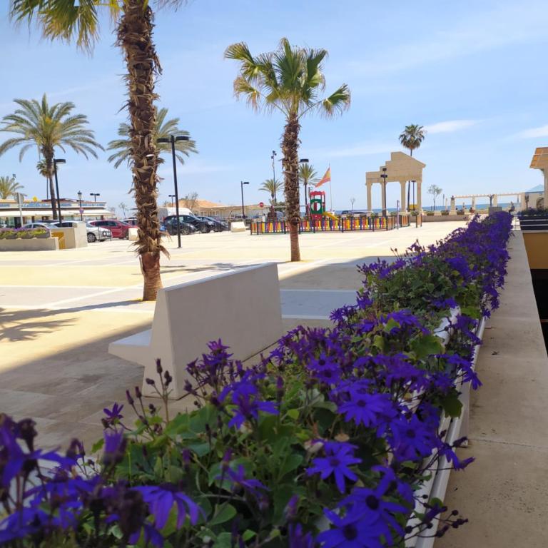 Apartamento del Sol - Apartamento de 1 dormitorio - 6