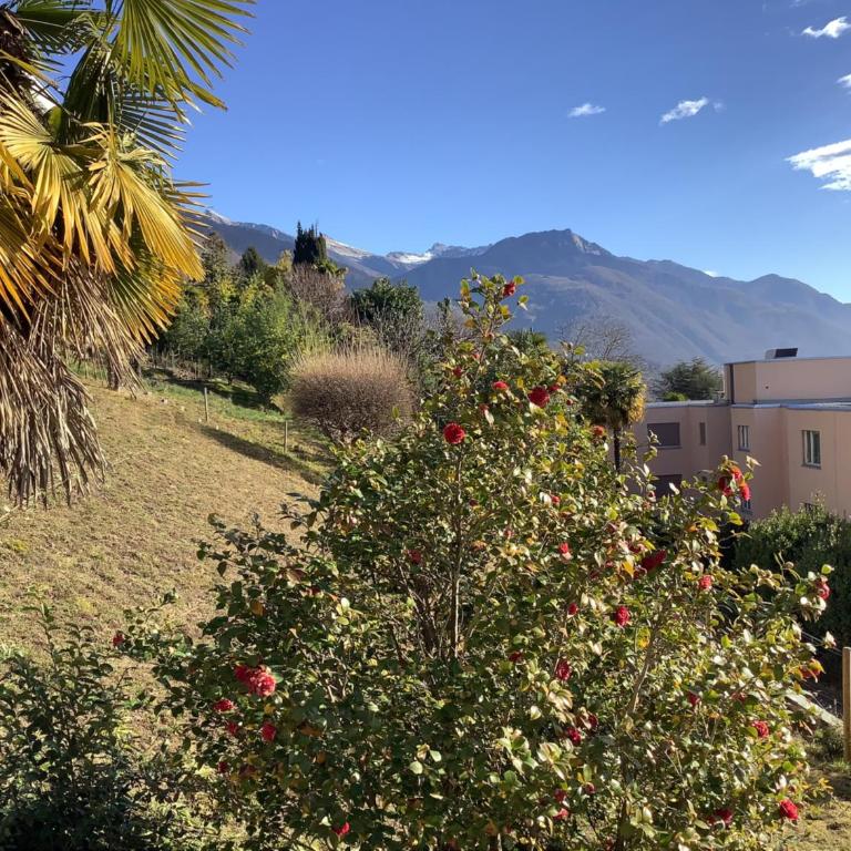 Condominio Andromeda Seeblick - Appartamento con 1 Camera da Letto - 22