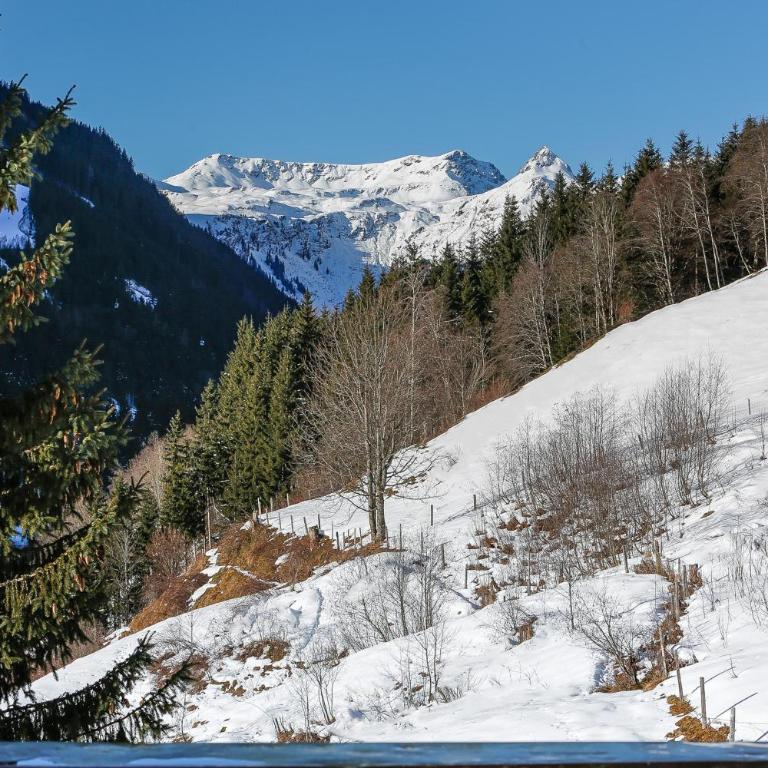 Appartementhaus Tannenberg - One-Bedroom Apartment - 16