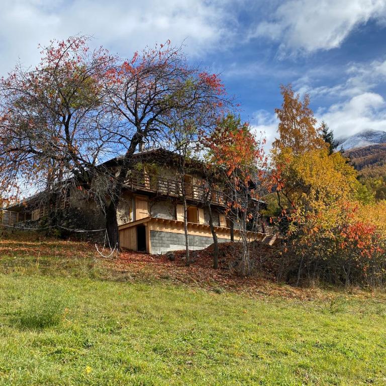 Maison de montagne Alpes du sud/station Les Orres - Chalet - 1